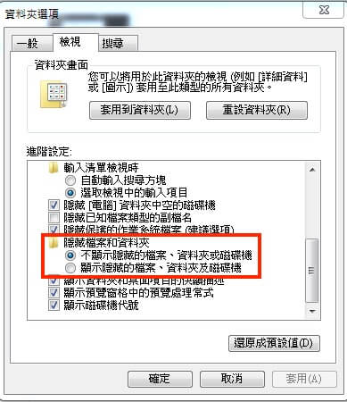 進到資料夾選項後勾選顯示隱藏的檔案