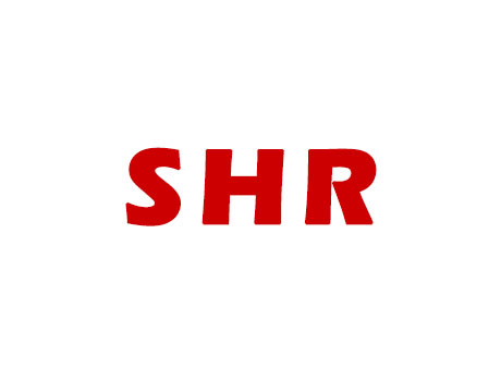 SHR是什麼？深入了解這項創新的磁碟陣列